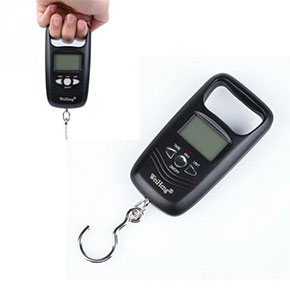 [2399] 50kg/10g Portable Electronic Hanging scale Luggage Digital Hook Weight